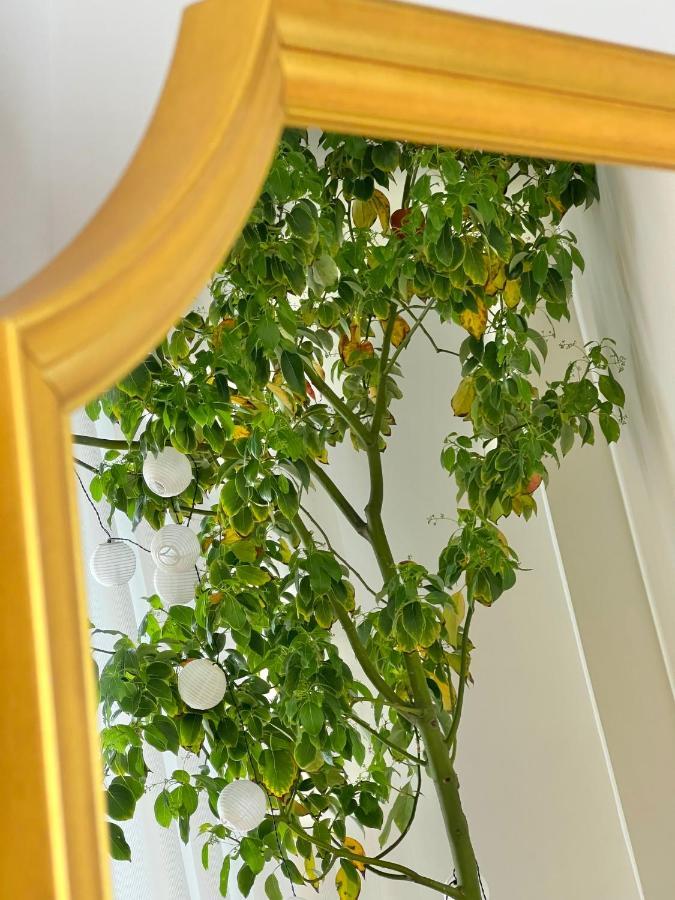 #Lemon Tree By Halu! Apartments เทสซาโลนิกิ ภายนอก รูปภาพ